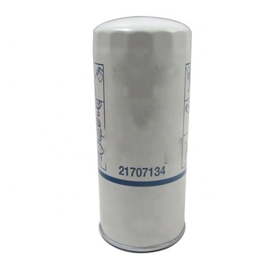 21707134 Parti di motori per autoveicoli Filtro dell'olio P550519 P550519 873 3A11555 VOE4666343 1216400551 GM25504