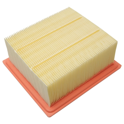 Cartuccia filtro dell'aria AF27684 per Pagani Manufacture e cartuccia per purificatori per auto