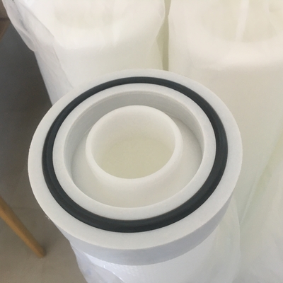 0.1 Cartuccia di filtro per liquidi a membrana piatta a micron PES per la filtrazione nell'industria alimentare