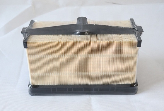 PA31011 Filtro d'aria Hydwell per camion Modello di trattore Parti di motori di escavatori P636749 7010031