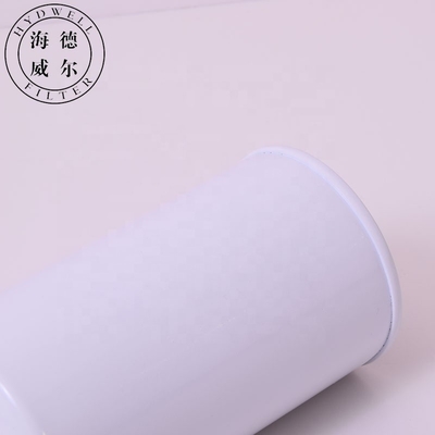 Filtro di separazione dell'acqua dal carburante del motore diesel per camion parte 60282117 con numero di parte R011619