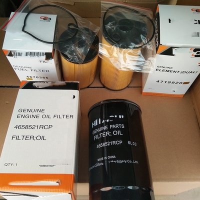 30% T/T in anticipo HYDWELL Diesel Engine Fuel Filter 4719920 per Hitachi ZX200-3 94.5*201.6