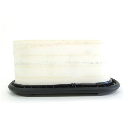 Filtro d'aria 2u2j-9601-Ba 2u2z-9601-Ba Laf6122 P606122 Af26158 per necessità di sostituzione/riparazione
