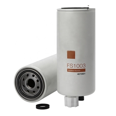 Filtro di ingegneria Modello di auto Filtro separatore carburante/acqua Fs1003 N. di riferimento LFW 4016