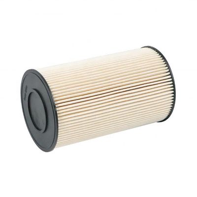 Yn21p01036r100 SN25044 P502423 Filtro del carburante per parti di auto