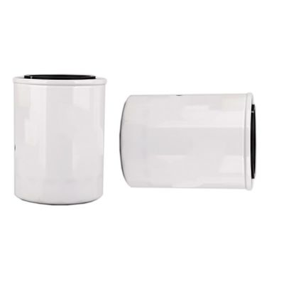 1000395855 WB202G Filtro di olio per motore diesel all'interno di Hydwell