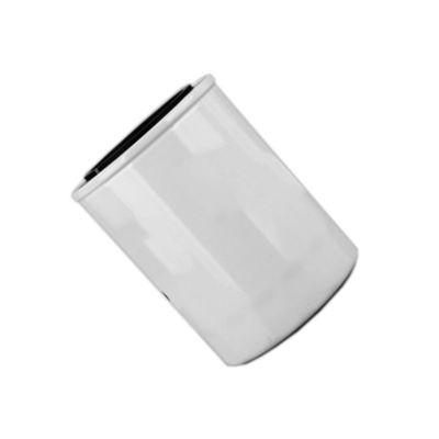 1000395855 WB202G Filtro di olio per motore diesel all'interno di Hydwell