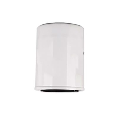 1000395855 WB202G Filtro di olio per motore diesel all'interno di Hydwell