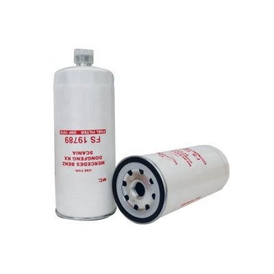 Auto Parts Fuel Filter Fs19789 per 1994-1996 Anno VF1233 OE NO. di Hydwell