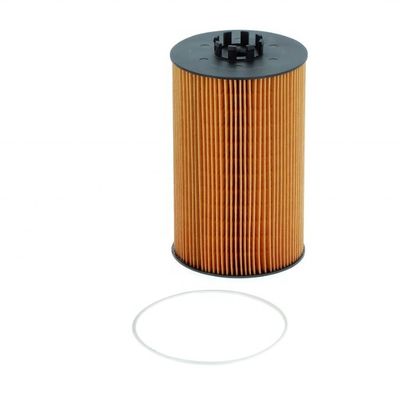 51055040108 Filtro d'olio per camion E422H D86/P550820/LF17056 HU13125X e conveniente