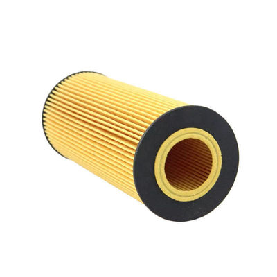 P779004 Trattori Camioni Motori Elemento filtro olio entro l'anno 2000 per LF4072 SH4705