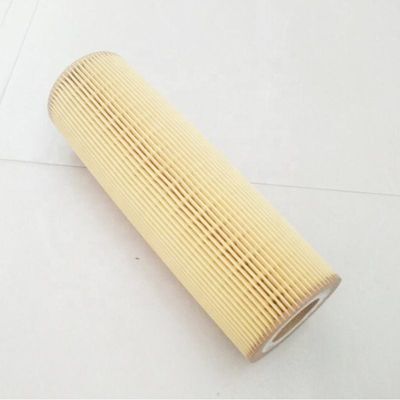 2037556 2022275 1742037 1742032 LF17486 Carta filtrabile e ferro per parti di motori di camion