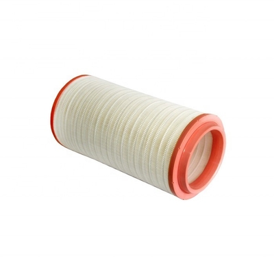Sistema di filtro dell'aria diesel C30810/3 C308103 2453818 per prestazioni durevoli