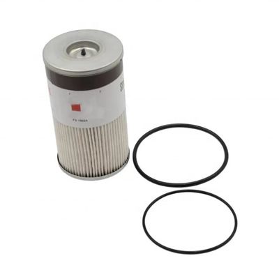 Filtro di carburante P550529 per Hydwell Direttamente dalla fornitura OE NO. 85106371