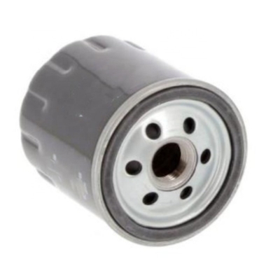 Filtro di olio per autoveicoli C171 TY15218 2321300 1733165 140517050 S3253R ADT32111E 3840525 LF502016