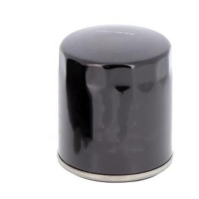 Filtro di olio P551132 721150720 84475542 C6002112110 4700939068 9414101541 1691846 537A0142 LF16011