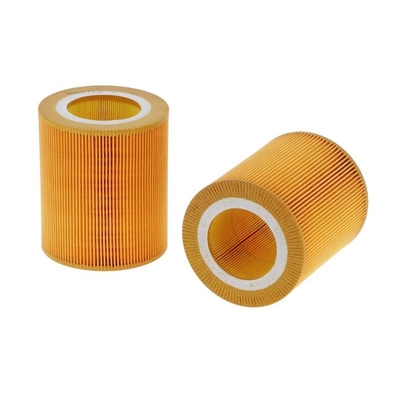 Hydwell AF26419 C1250 SA6931 TGA6053 1613872000 PA30015 Filtro dell'aria Materiale di ferro ora