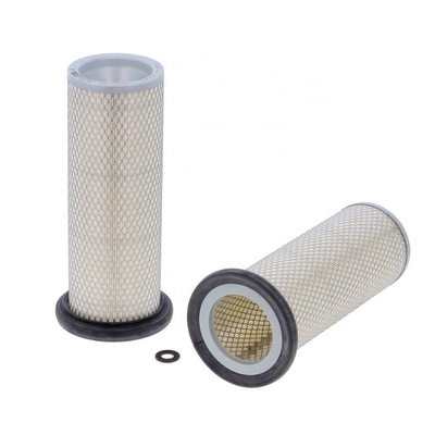 Filtro d'aria di eccellente prestazione 6001816050 per AG-CHEM Car Fitting P119374