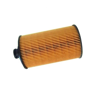 Elemento di filtro dell'olio 13055724 13010970 per AG-CHEM Car Fitment Parti di motori diesel