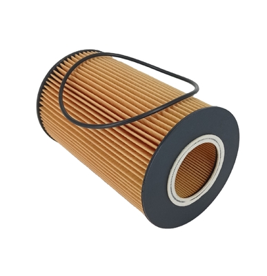 Filtro d'olio per parti di motori di camion 2596171C91 P550820 1533857 11110427 LF550820 51055040122 20998