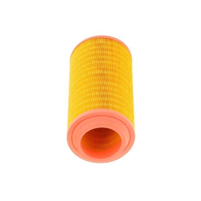 Elemento di filtro dell'aria Hydwell AF26395 P778994 4415901 58012020 4550056124 20405827 al meglio