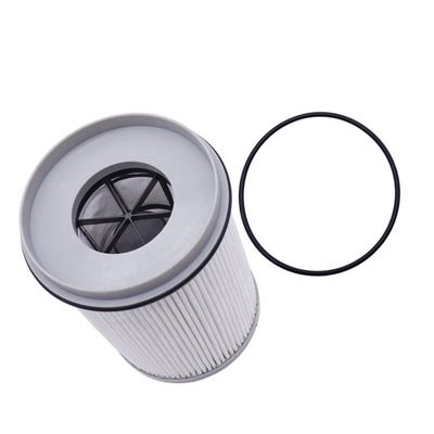 Elemento di filtraggio del separatore di acqua e carburante FS20176 R61709 DDER61709 PF46235 P552709 per FREIGHTLINER