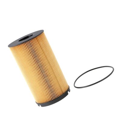 KENWORTH Truck Fuel Filter K37-1012 P581298 con e design personalizzato