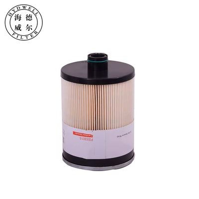 Filtro di separazione idrica del carburante Hydwell per camion FS53015 P553015 68001 803418928 SN40755