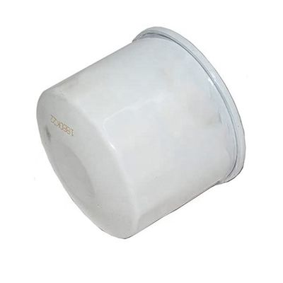 Filtro del carburante per autoveicoli diesel FF5226 P550127 6640801 200040A1