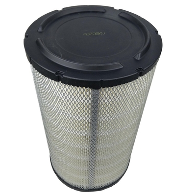 Filtro d'aria di ricambio per auto per Hydwell AF27918 P952740 6171211 3016392 8041419 V12M