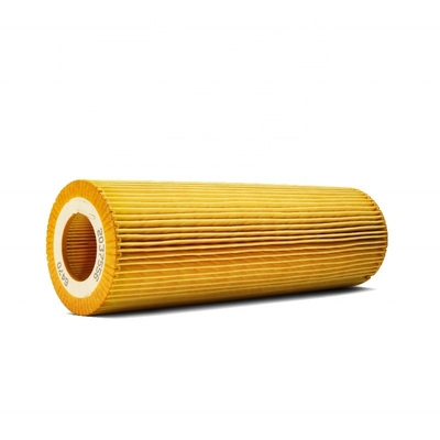 2037556 2625884 P953329 LF17486 1742032 1742037 1537041 Filtro d'olio per motori DC9