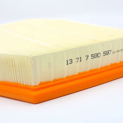 13717590597 Filtro dell'aria per motore per migliorare le prestazioni del motore
