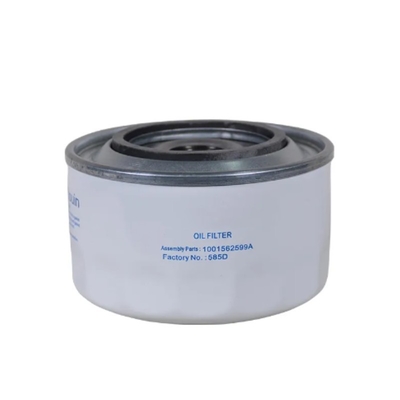 Altri veicoli Filtro d'olio 1001910416 1001562599 Altra opzione per parti di motori di camion