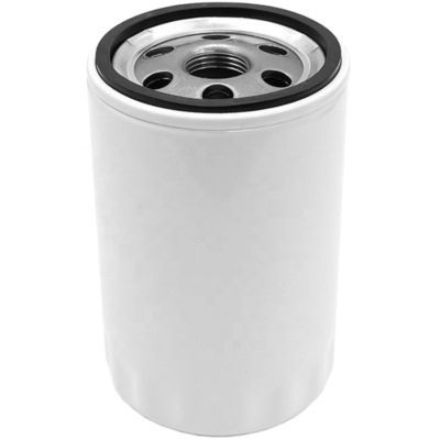 Filtro di olio lubrificante per motori diesel per trattori Parti 01182001 P764896 6005028849 5112300759 363031