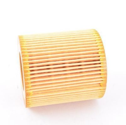 Elemento di filtro dell'olio diesel per autoveicoli OEM 11427953129 LF634 CH10075 per IES Sostituire/riparazione