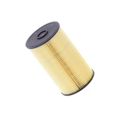 Sostituire/riparare in modo efficiente il filtro del carburante Pf9868 P502423 per l'escavatore Mmh80580 Hydwell