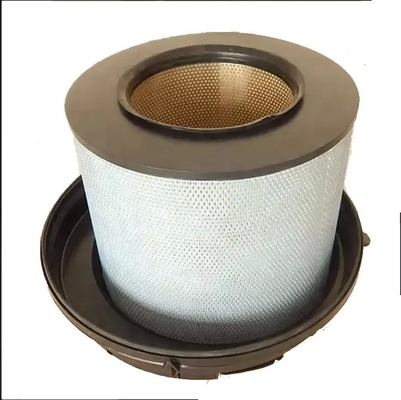 Elemento di filtro dell'aria in fibra di vetro P785542/RS30065