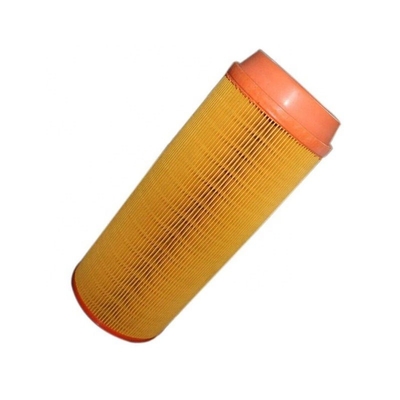 Elemento di filtro dell'aria C20500 P778994 58012020 B222100000060 0040942304 per camion pesanti