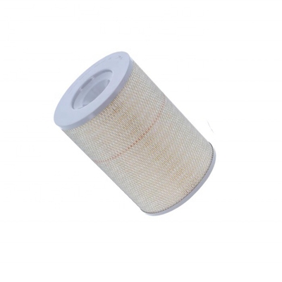 Filtro primario del sistema di aria diesel in ferro P182034 3I0787 73050258 32201602 209429 79043718