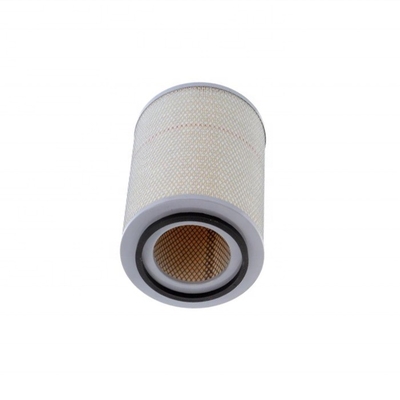 Filtro primario del sistema di aria diesel in ferro P182034 3I0787 73050258 32201602 209429 79043718