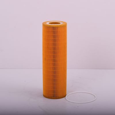 2037556 Filtro per olio motore P953329 MD727 AS2515 F026407196 40050400058 7424993648 15504789