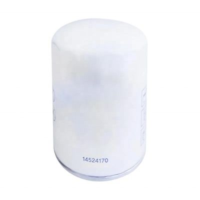 Alberghi Elemento filtro olio P556005 3609567M1 62200AF M6653336 44524014 0850261 D114955