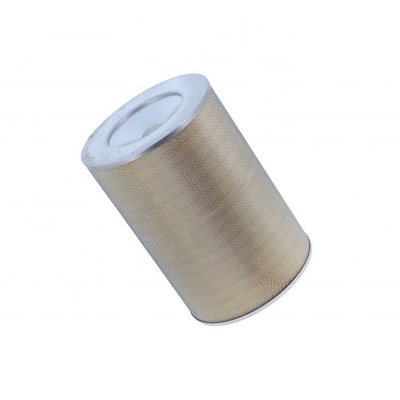 Filtro dell'aria 2996155 2996157 AF26204 AF26245 P787157 per altri apparecchi per autoveicoli
