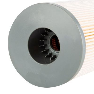 FS20172 K37-1029 K371011 K371029 Filtro di carburante/acqua per prestazioni ottimali del camion