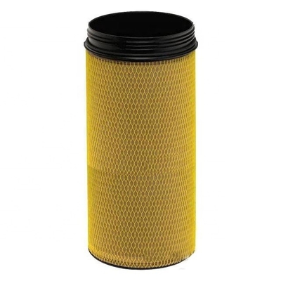 Elemento filtro dell'aria E1024LS AF4187 SA17442 con servizio post-vendita