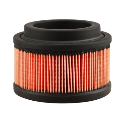 Elemento di filtro dell'aria P500196 AF500196 VOE11707077 per parti di motori di escavatori
