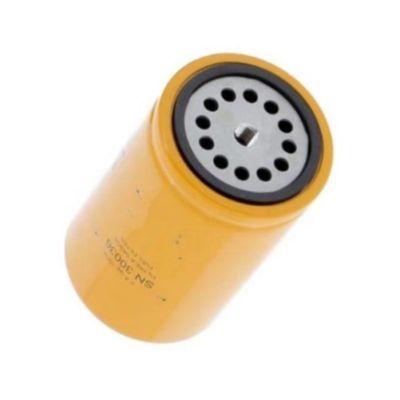 Filtro del carburante P502504 525517D1 3460523 5300560 BHC5055 1000012854 747351 4226599M1 2081071 EN1015
