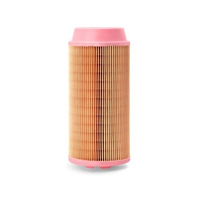 Filtro d'aria a cartuccia AV238 AF26386 6211455100 P778979 AF26387 2914930000 EPC046519 1319141