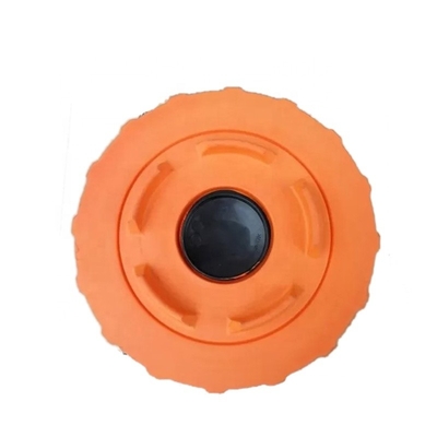 C29010 RS5342 60949604 A0030949604 AF25653 Filtro d'aria per veicoli pesanti