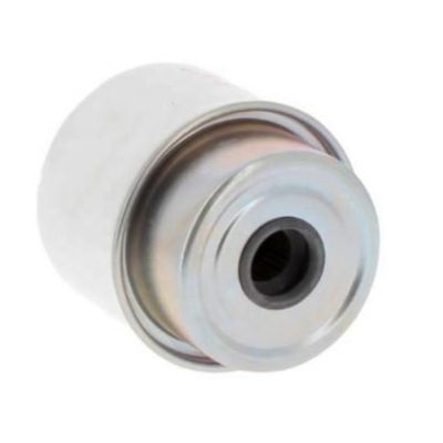 Filtro del carburante P576918 per camion FS19838 SN 70162 FS19573 WK8118 FGO552 RE60021 6005025926 330560552